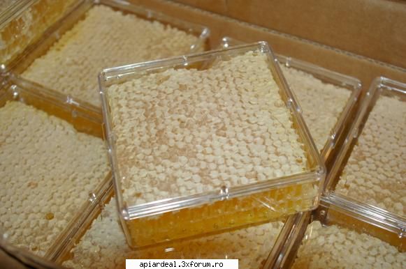 Faguri cu miere - Pe aici se comercializeaza destul de bine faguri - PRODUSELE STUPULUI