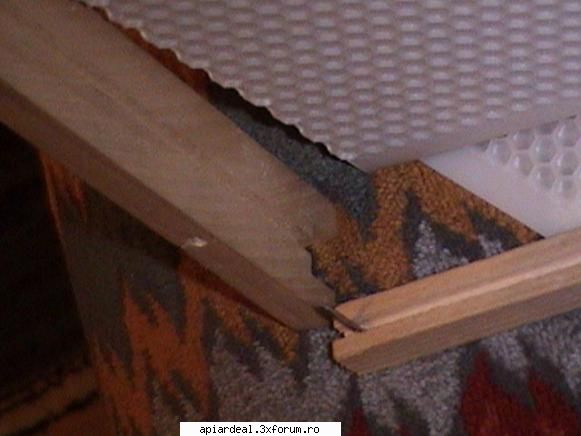 Faguri plastic - In poza de mai sus lumina e cam slaba. Aici - RAME SI FAGURI