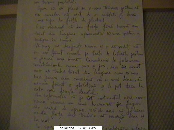 Faguri plastic - Si un fragment din scrisoare. Un an nou fericit - RAME SI FAGURI