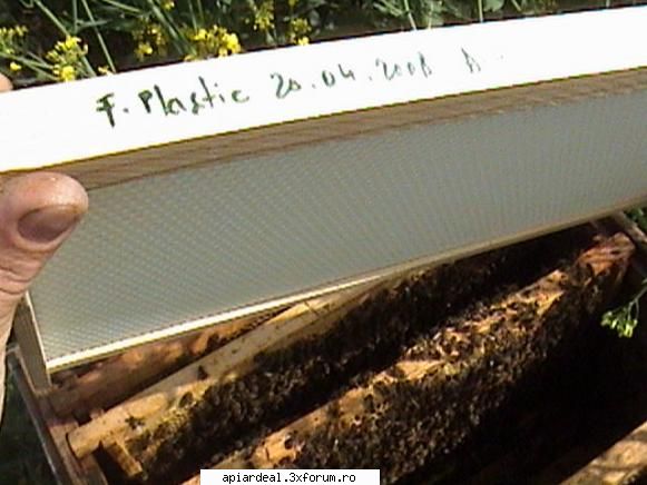 Faguri plastic - Primul fagure de plastic la cladit - RAME SI FAGURI