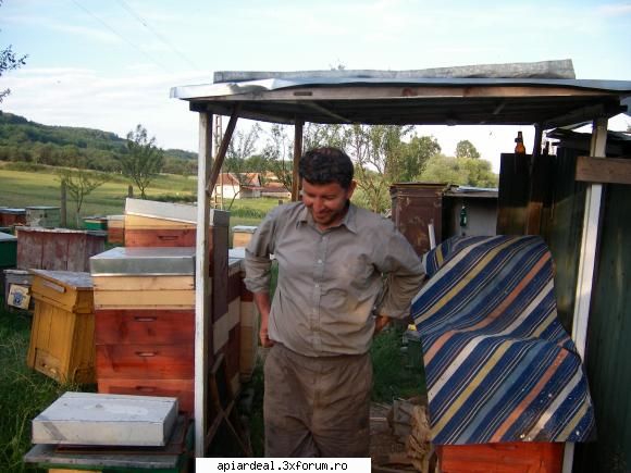 Familii ajutatoare - Si eu am ceva care se poate posta, dar este doar - INTRETINEREA ALBINELOR