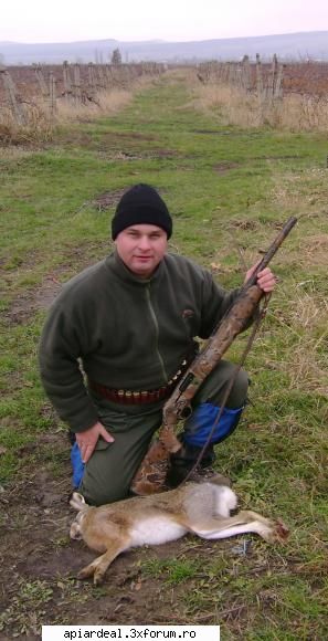 Florin - Al doilea iepure mult mai mare, mascul, se vede - Hobby-uri