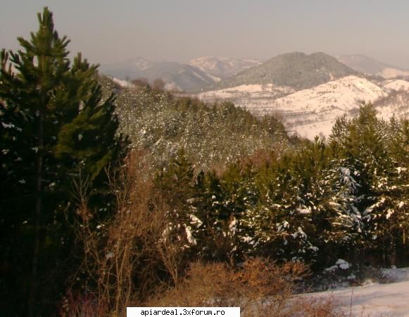 Florin - vanatoare la mistret Dealul Pietroasa, Valea - Hobby-uri