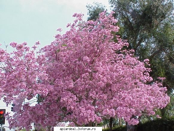 Foto Andrei - AndreiRN - POZE SI VIDEO
