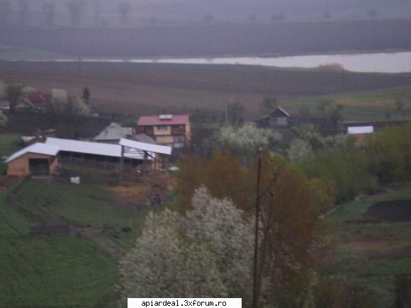 Gheorghita Constantin - Si acum cateva imagini din locul unde vreau sa - ACESTIA SUNTEM NOI
