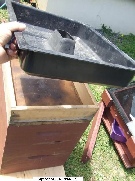 Hranitoare - Asa cisterne avem noi in NZ puse pe podis.Are - INTRETINEREA ALBINELOR