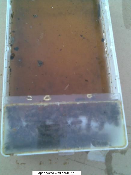 Hranitoare de podisor din plastic - Dimensiuni stas sunt 0,7l,2l si 3l,Mai este unul - VANZARI