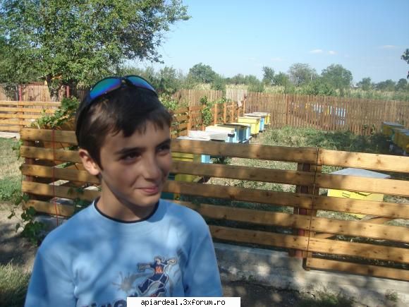 Iernare - si baieti ca fete tot vazuram - INTRETINEREA ALBINELOR