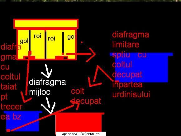 Iernarea in stup a doua roiuri - la diafragmele care restrang cuibul tai coltul - SUNT INCEPATOR