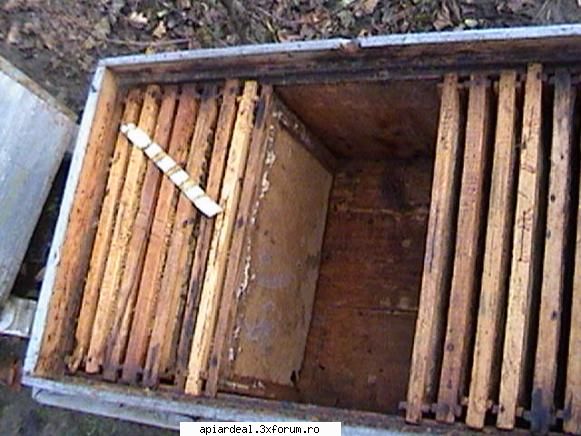Impachetat - La noi a stat un roi 3 ani intr-o teava de mm. Eu - INTRETINEREA ALBINELOR
