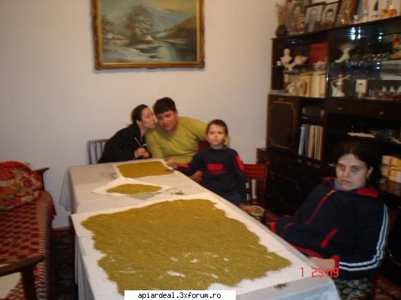 Jurnal apicol - O poza draga mie : prima recolta de polen 2005 - INTRETINEREA ALBINELOR