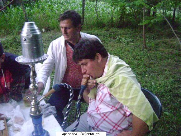 Jurnal apicol - sa se vada si narghileaua - INTRETINEREA ALBINELOR