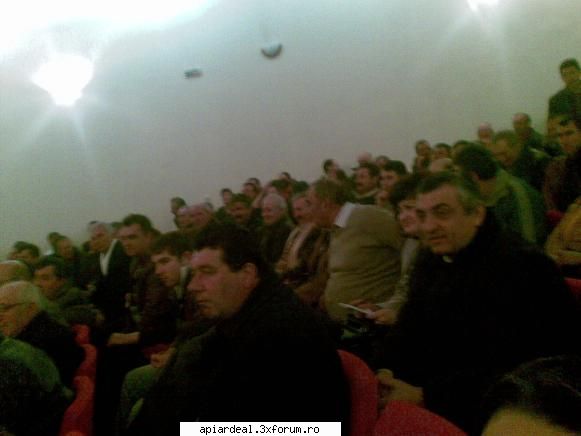 Jurnal apicol - M-am intors de la alegeri , culmea , mai exista - INTRETINEREA ALBINELOR