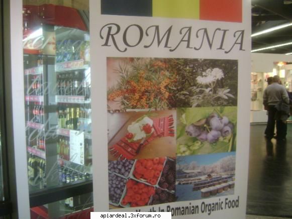 Jurnal apicol - LA MARKETUL LIDL ( parca asa se numea ) mierea de - INTRETINEREA ALBINELOR