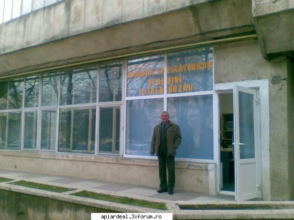 Jurnal apicol - IMPORTANT PENTRU APICULTORII BUZOIENI SI NU NUMAI - INTRETINEREA ALBINELOR