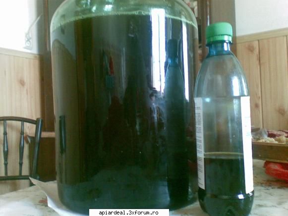 Jurnal apicol - Azi am filtrat protofilul si a iesit foarte bun - INTRETINEREA ALBINELOR