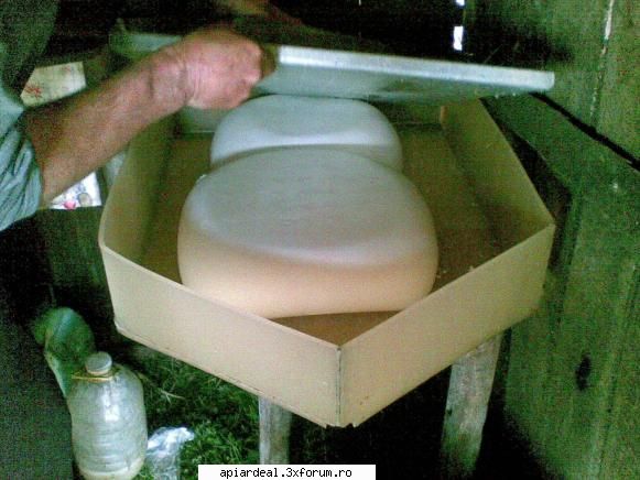 Jurnal apicol - Totusi in ziua de azi zagalna este din plastic si - INTRETINEREA ALBINELOR
