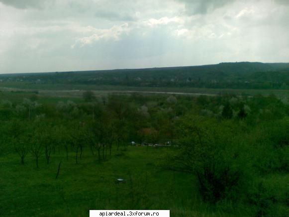 Jurnal apicol - Eterna si fascinanta Vale a Ramnicului - INTRETINEREA ALBINELOR