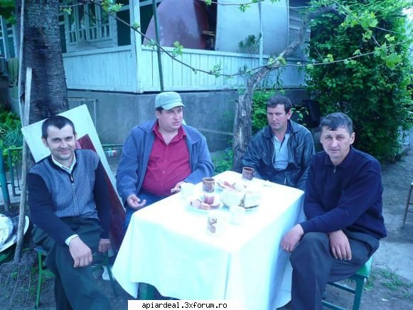 Jurnal apicol - Oaspeti la stupina din Vutcani Vaslui - INTRETINEREA ALBINELOR
