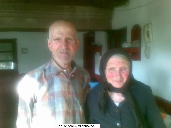 Jurnal apicol - Gazedele noastre : familia Albu Titi - INTRETINEREA ALBINELOR
