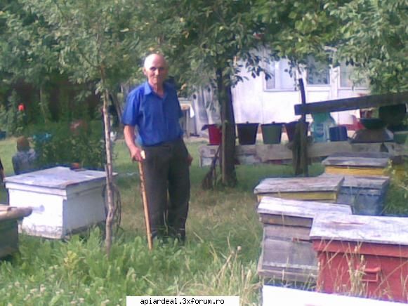 Jurnal apicol - In zona mea precum si in restul tarii sunt multe - INTRETINEREA ALBINELOR