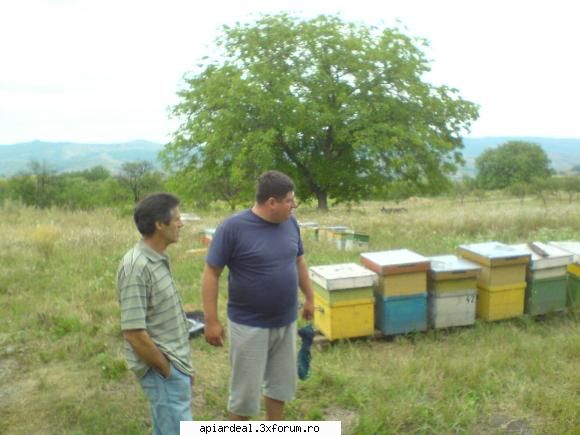 Jurnal apicol - tata si dl Dragos inttr-o locatie de exceptie - INTRETINEREA ALBINELOR
