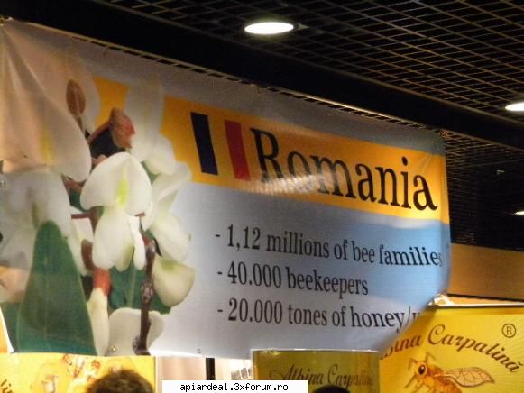 Jurnal apicol - La expozitia Apimondia Romania a avut o prezenta - INTRETINEREA ALBINELOR