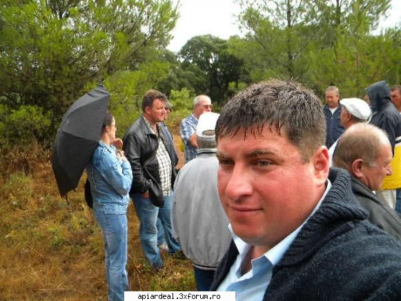 Jurnal apicol - Romanii la stupina , pe ploaie - INTRETINEREA ALBINELOR