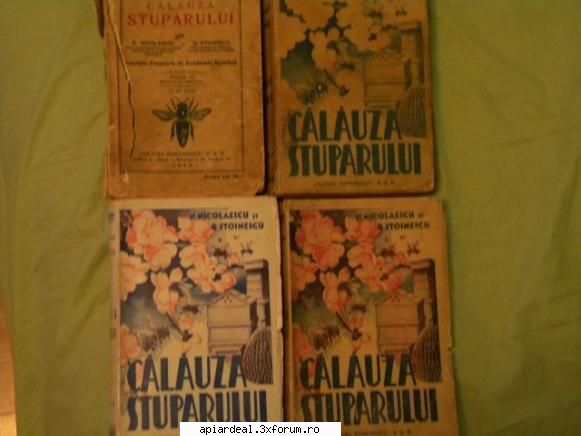 Jurnal apicol - Am o mare rugaminte ! Incet , incet am adunat - INTRETINEREA ALBINELOR