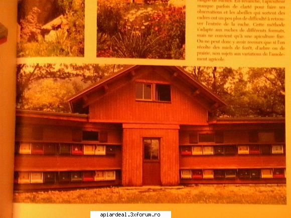 Jurnal apicol - In apicultura trebuie si putina eleganta ! , nu - INTRETINEREA ALBINELOR