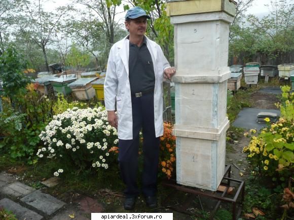Jurnal apicol - Am facut o cutie pe 8 rame+2 caturi - INTRETINEREA ALBINELOR