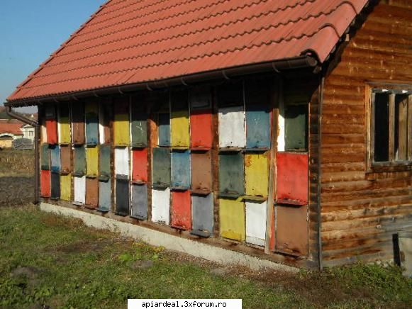 Jurnal apicol - Casuta cu stupi este visul meu si sper ca intr-o - INTRETINEREA ALBINELOR