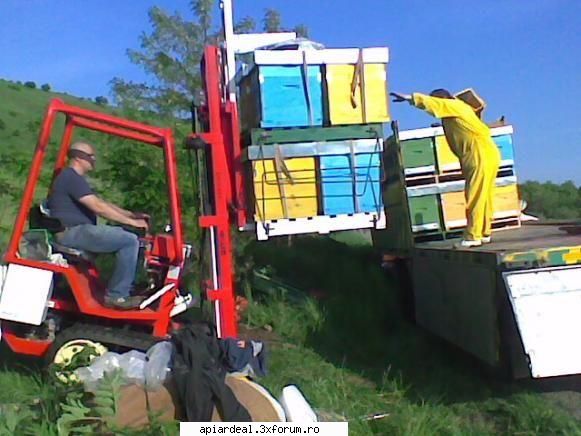 Jurnal apicol - Cum sunt camionul si motostivuitorul PLANE - INTRETINEREA ALBINELOR