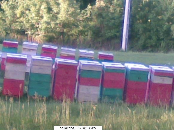 Jurnal apicol - In zona mea au sosit si apicultori clujeni cu - INTRETINEREA ALBINELOR