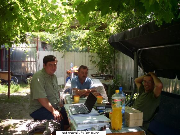 Jurnal apicol - dragos2006 - INTRETINEREA ALBINELOR
