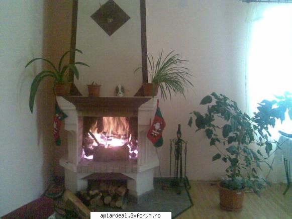 La Multi Ani 2009! - La multi ani! Sanatate si tot ce ne dorim - AICI PUTETI POSTA ORICE...