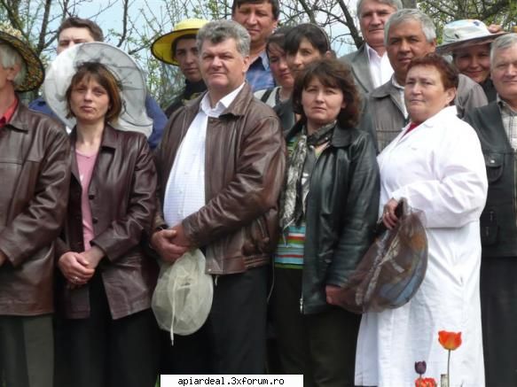 Lectia de apicultura - teinegru64 - AICI PUTETI POSTA ORICE...