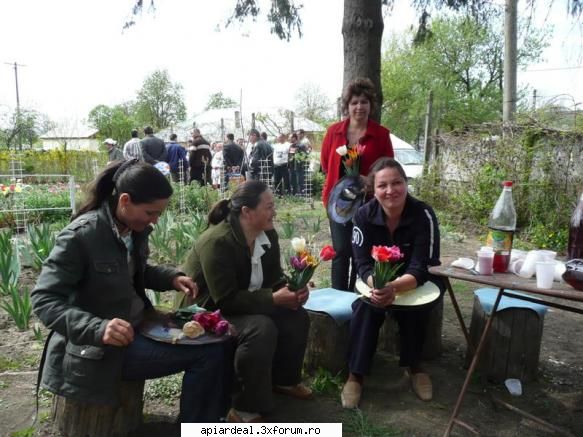 Lectia de apicultura - Cateva dintre stuparitele Vasluiului - AICI PUTETI POSTA ORICE...