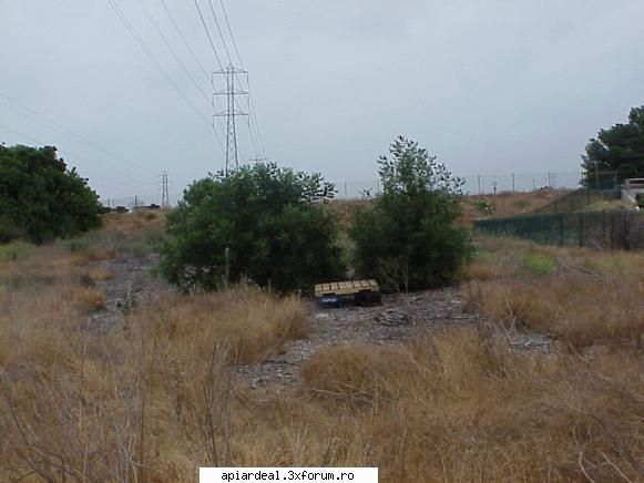 Locatie noua. - Primul meu palet in asteptarea stupilor - STUPARIT STATIONAR