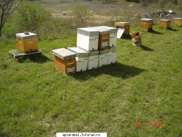 Lucrul la ferma - Roi gata de transport. Odata ajunsi la locatia de - INTRETINEREA ALBINELOR