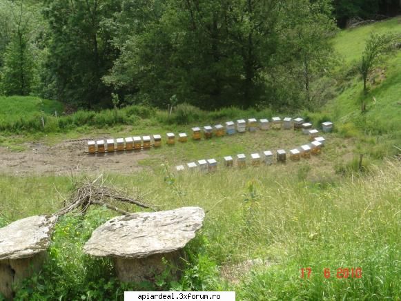 Lucrul la ferma - O parte din fam de productie s-au deplasat la - INTRETINEREA ALBINELOR