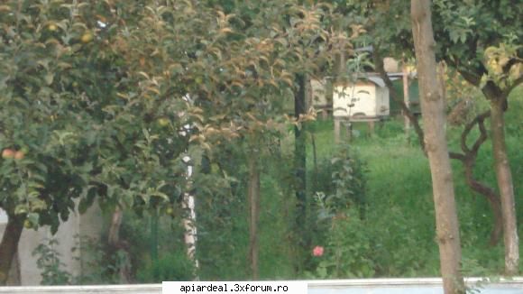 Masura 141 - da este adevarat cu masura 141 eu miam bagat - NOUTATI
