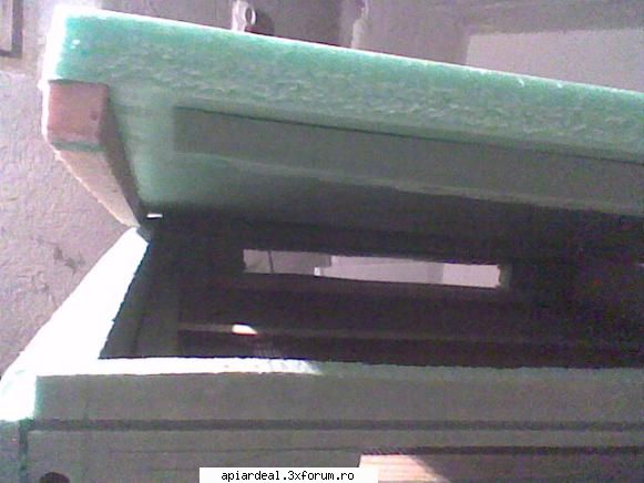 Model de stup - Capacul,pe interior - SCHITE STUPI