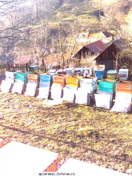 Model de stup - ca sa ii fortez si pe ceilalti stupi la un zbor - SCHITE STUPI