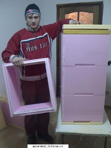 Model de stup - Asta e modelul de stup confectionat in atelierul - SCHITE STUPI