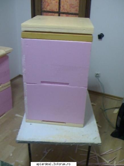 Model de stup - Stup cu doua corpuri detasabile . :D - SCHITE STUPI