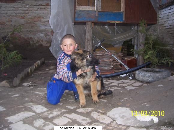 Numai Dumnezeu - mesaj pentru batranu sant muraru dumitru asai cum - AICI PUTETI POSTA ORICE...