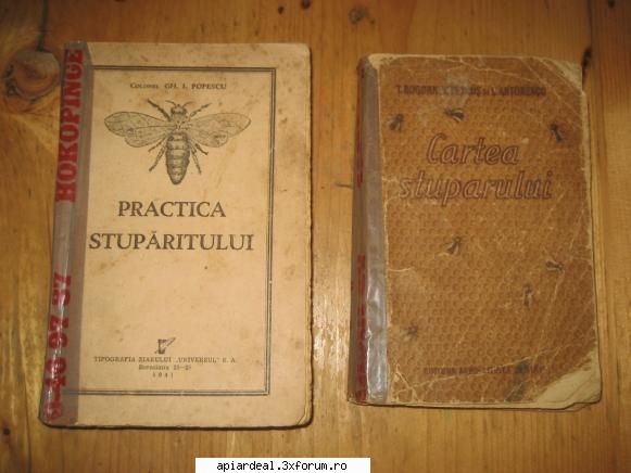 Orban Stefan - orbanstefan64 - ACESTIA SUNTEM NOI