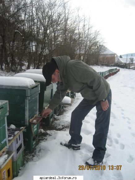 Orban Stefan - ieri in stupina +2 C - ACESTIA SUNTEM NOI