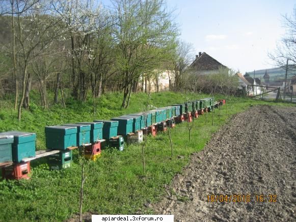 Orban Stefan - visinii plantati acum trei saptamini - ACESTIA SUNTEM NOI